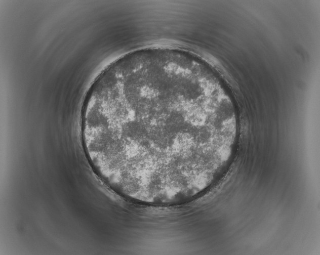 X0000112021232200909141029