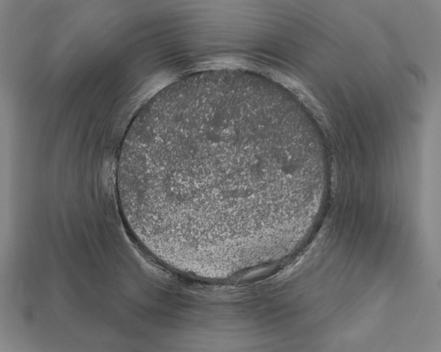 X0000112021233200909141029