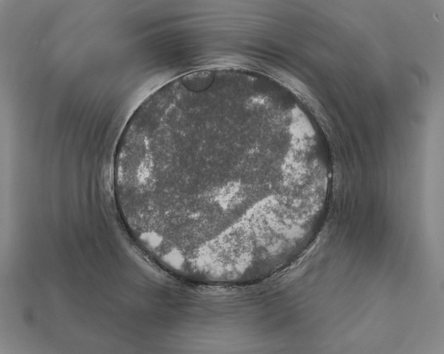 X0000112021234200909141029