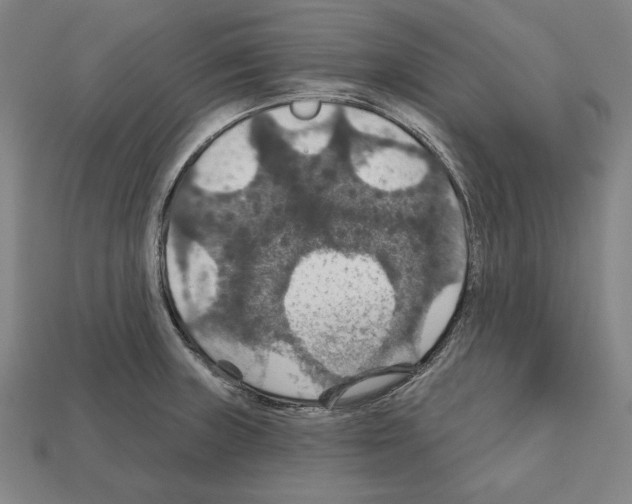 X0000112021235200909141029