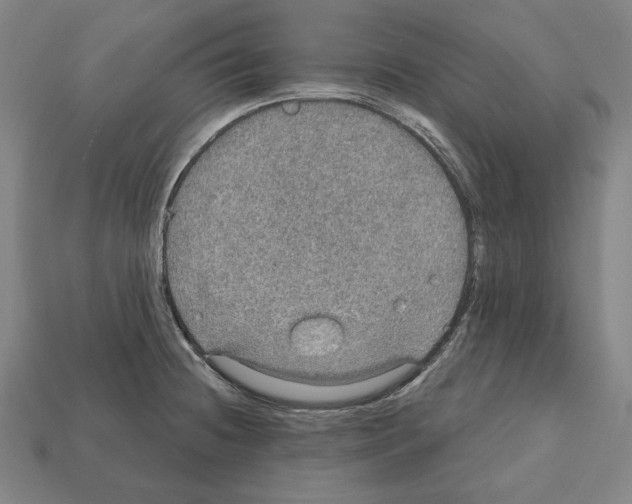 X0000112021236200909141029