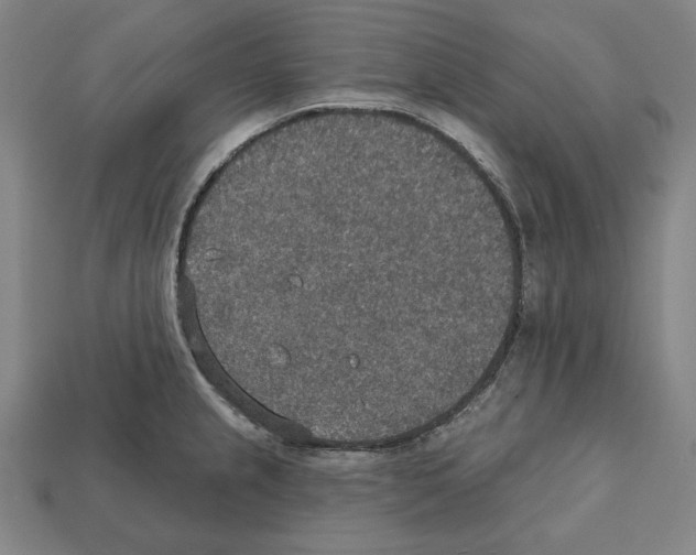 X0000112021237200909141029