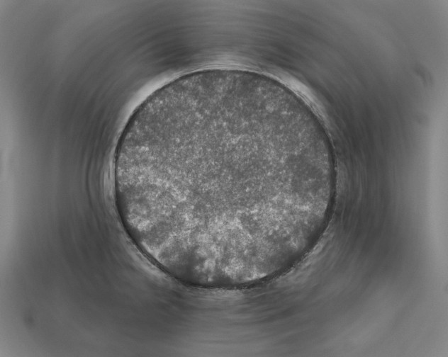 X0000112021238200909141029