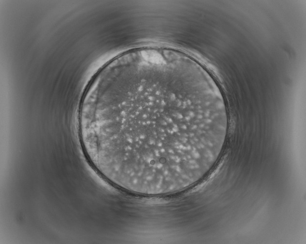 X0000112021239200909141029