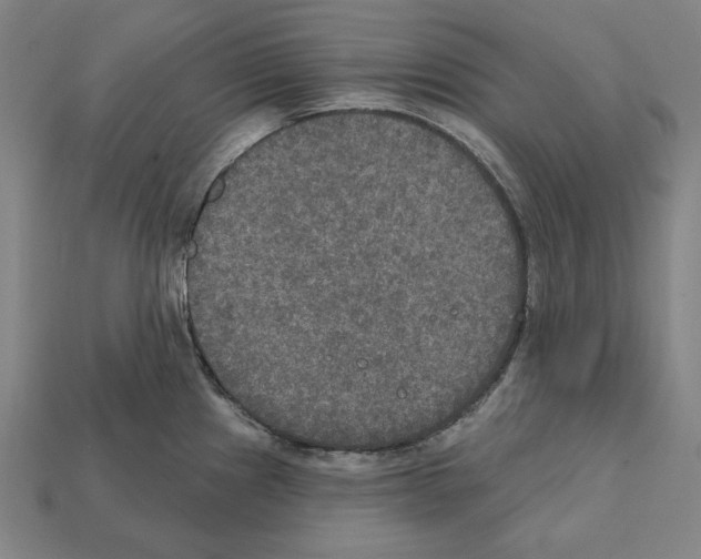 X0000112021241200909141029