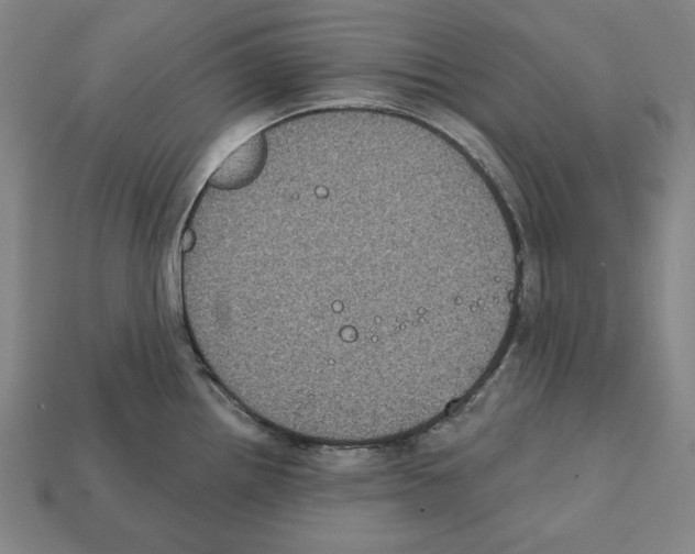 X0000112021242200909141029