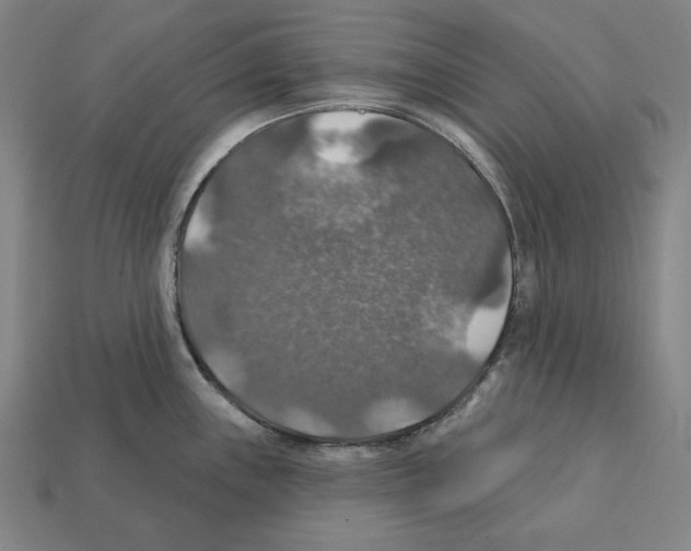 X0000112021243200909141029