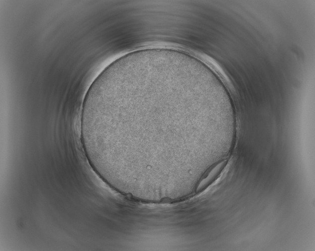 X0000112021244200909141029