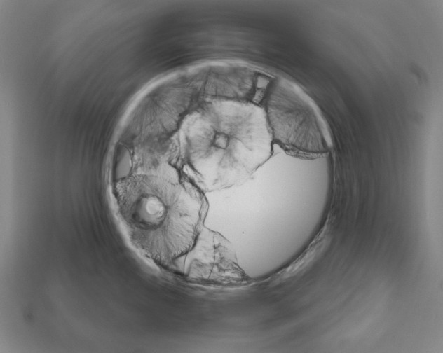 X0000112021245200909141029