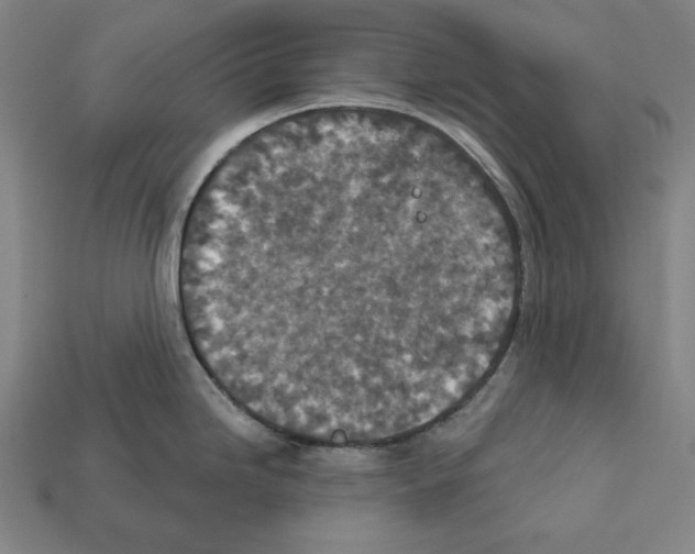 X0000112021246200909141029