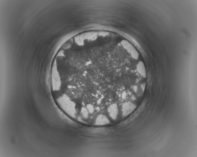 X0000112021247200909141029