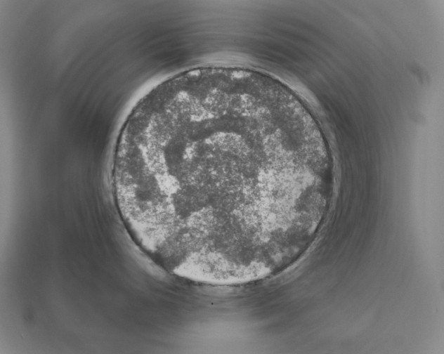 X0000112021248200909141029