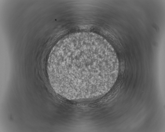 X0000112021249200909141029