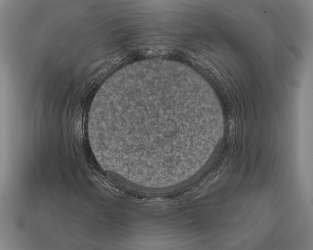 X0000112021250200909141029