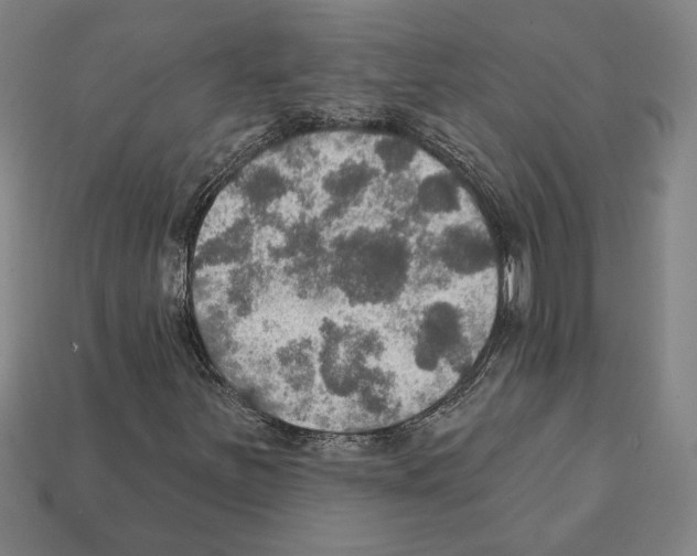 X0000112021251200909141029