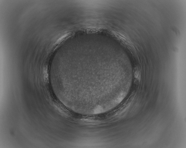 X0000112021252200909141029