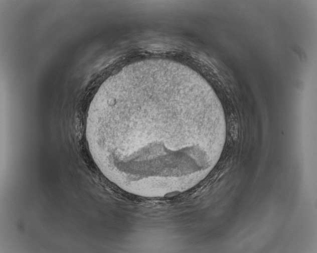 X0000112021253200909141029