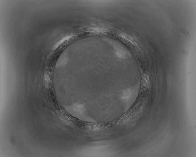 X0000112021254200909141029