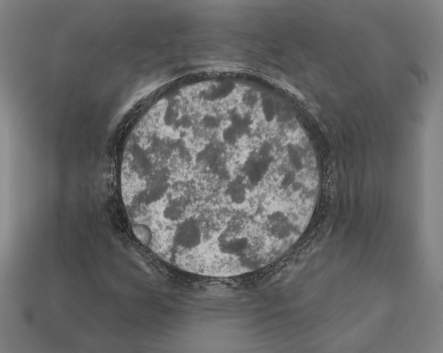 X0000112021255200909141029