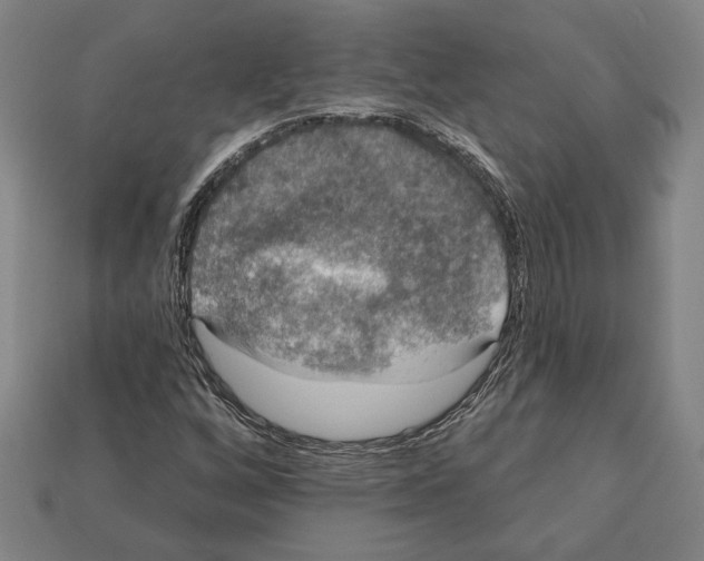 X0000112021256200909141029