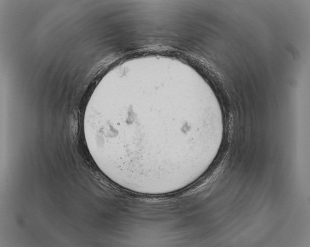 X0000112021257200909141029