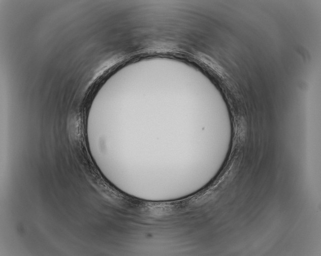 X0000112021258200909141029