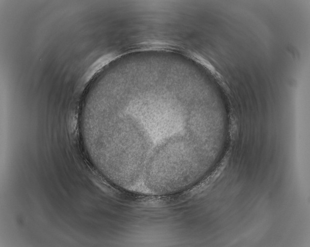 X0000112021259200909141029