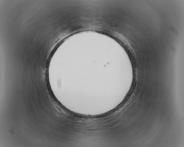 X0000112021260200909141028