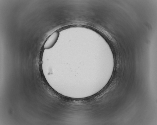 X0000112021264200909141028