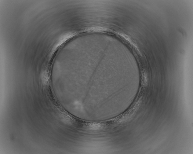 X0000112021266200909141028