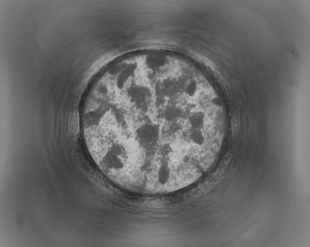 X0000112021267200909141028