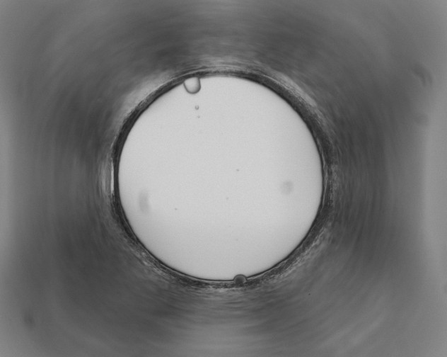 X0000112021269200909141028