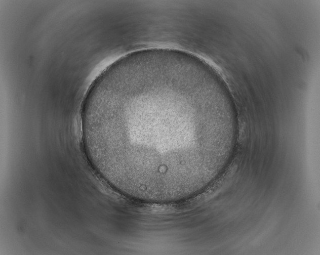 X0000112021271200909141028