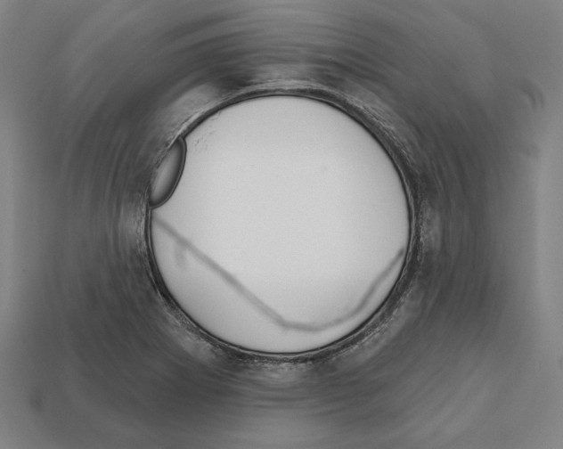 X0000112021273200909141028