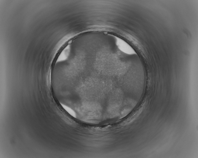 X0000112021275200909141028