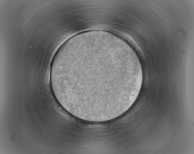 X0000112021276200909141028