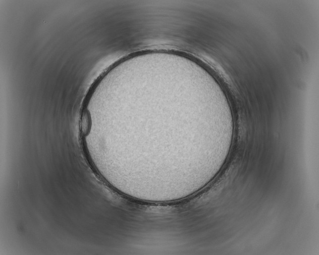 X0000112021277200909141028