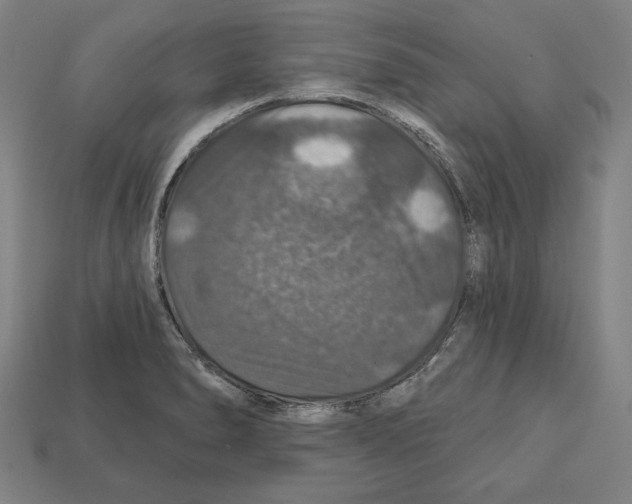 X0000112021278200909141028