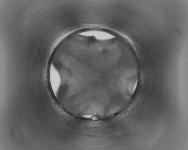 X0000112021279200909141028