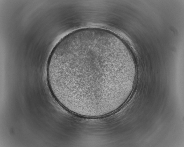 X0000112021280200909141028