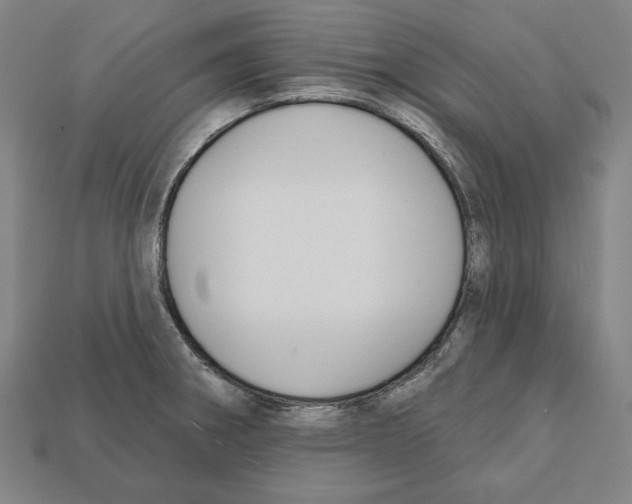 X0000112021282200909141028