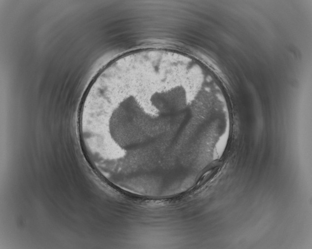 X0000112021283200909141028