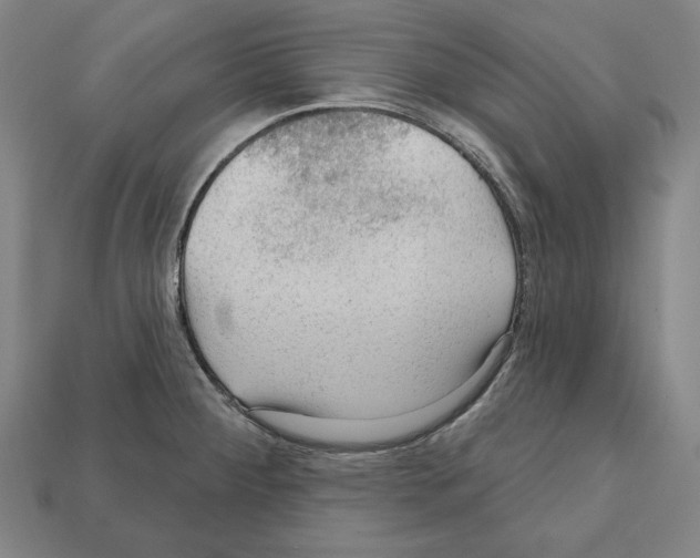 X0000112021284200909141028