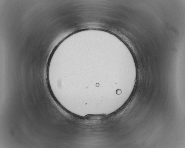 X0000112021285200909141028