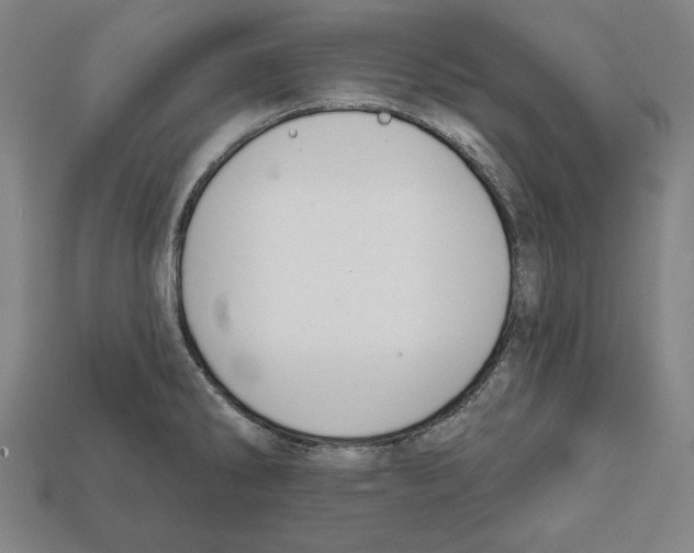 X0000112021286200909141028