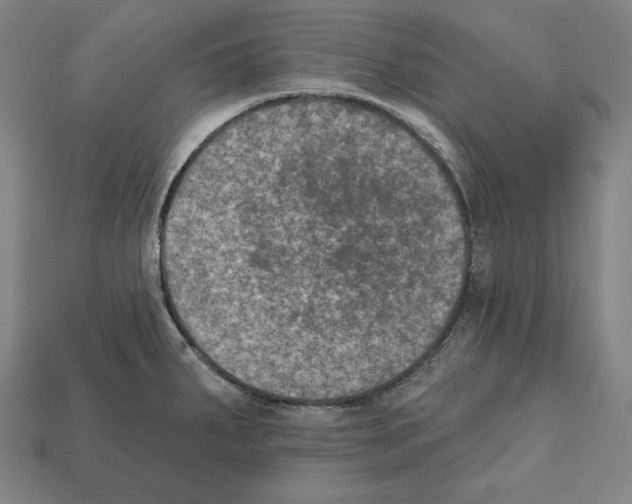 X0000112021287200909141028