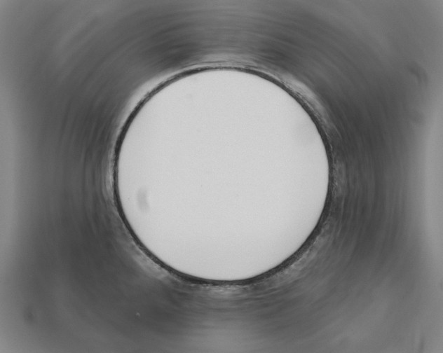 X0000112021288200909141028