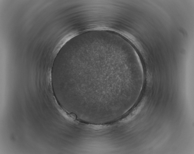 X0000112021289200909141028