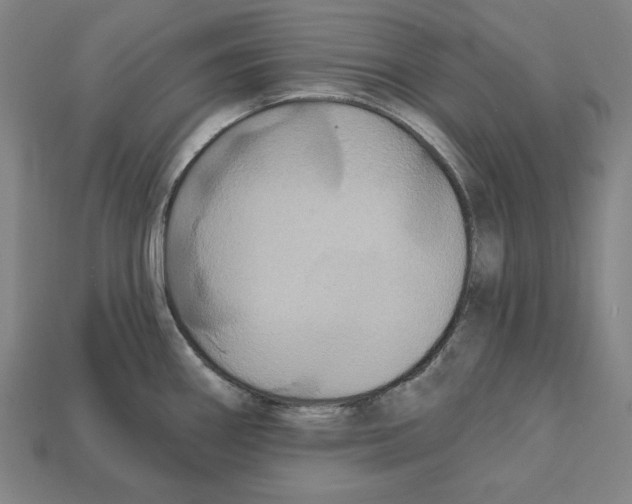 X0000112021290200909141028