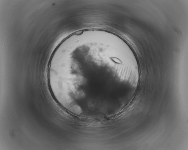 X0000112021291200909141028